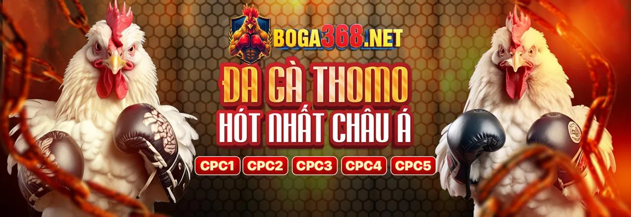 Chương Trình Đối Tác bong789 khuyến mãi